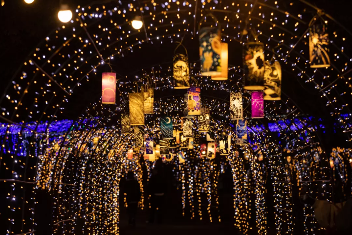 四國香川冬季必看燈飾「讃岐滿濃公園Winter Fantasy 2025」光影×科技海洋3D秀