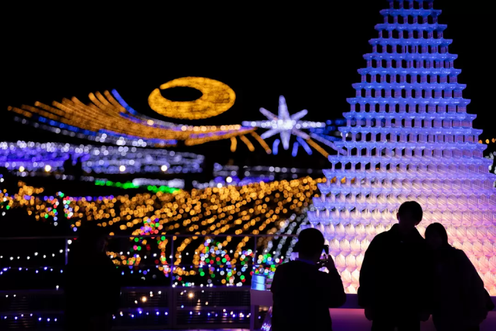 四國香川冬季必看燈飾「讃岐滿濃公園Winter Fantasy 2025」光影×科技海洋3D秀