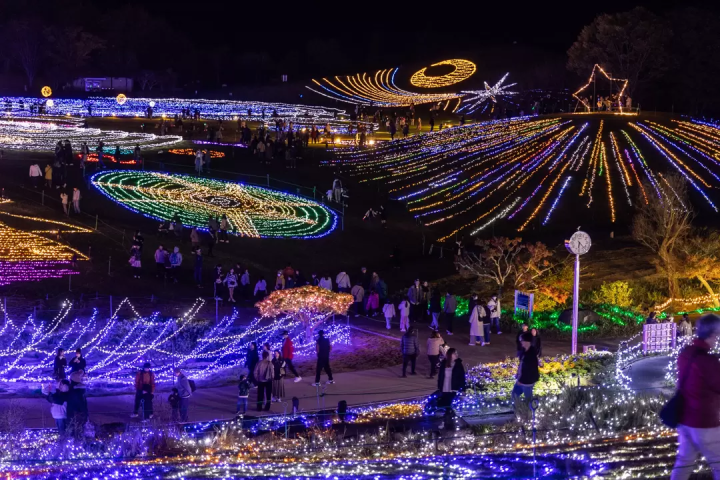 四國香川冬季必看燈飾「讃岐滿濃公園Winter Fantasy 2025」光影×科技海洋3D秀