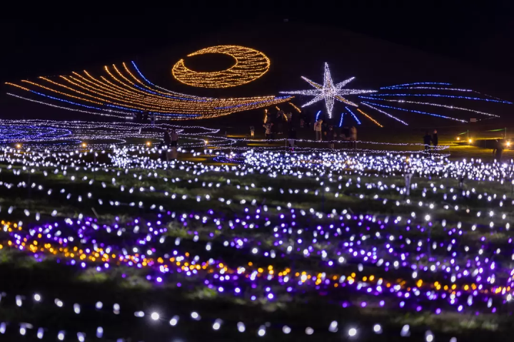 四國香川冬季必看燈飾「讃岐滿濃公園Winter Fantasy 2025」光影×科技海洋3D秀