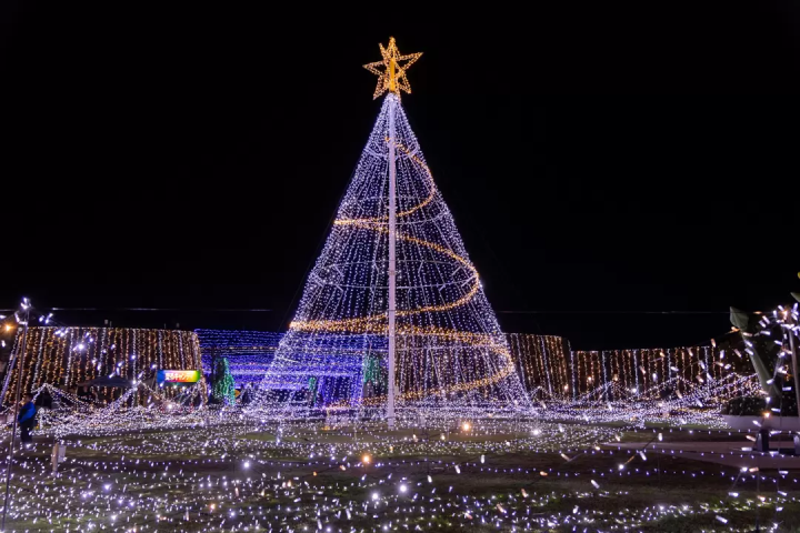 四國香川冬季必看燈飾「讃岐滿濃公園Winter Fantasy 2025」光影×科技海洋3D秀