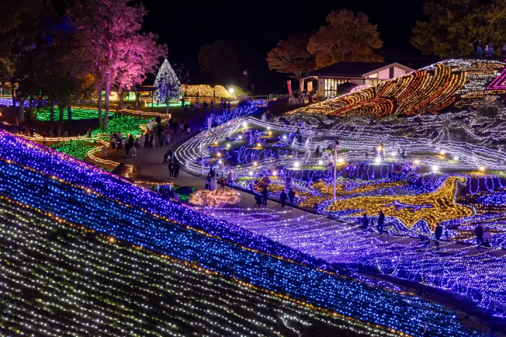 四國香川冬季必看燈飾「讃岐滿濃公園Winter Fantasy 2025」光影×科技海洋3D秀