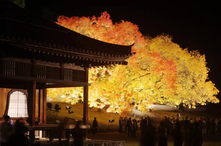 Old Shizutani School<br> 