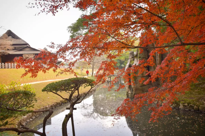 Okayama Korakuen Garden<br> 