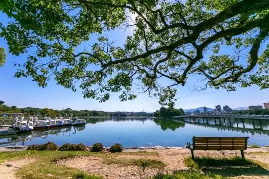 Photo courtesy of Fukuoka Prefecture Tourism Federation 