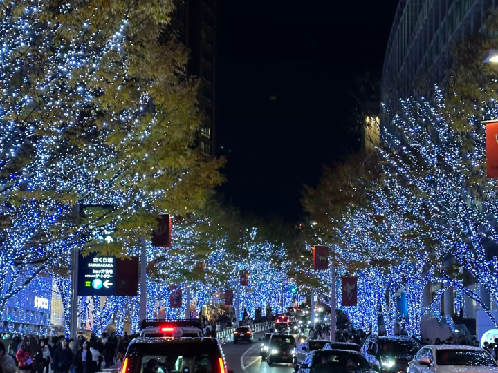 Best Winter Illuminations in Tokyo 2025 – Dates & Access Info
