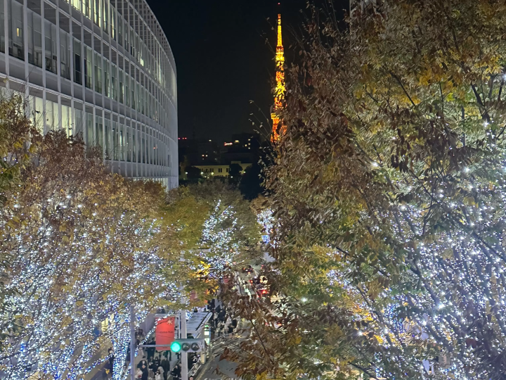 Best Winter Illuminations in Tokyo 2025 – Dates & Access Info