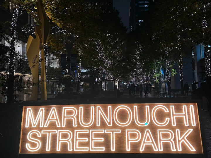 Best Winter Illuminations in Tokyo 2025 – Dates & Access Info