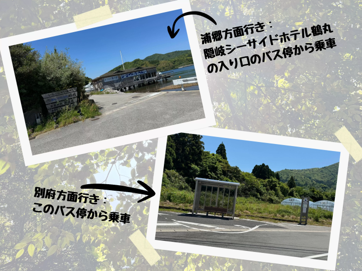 【コース紹介】バスで行く！隠岐・西ノ島「焼火神社」ハイキングガイド