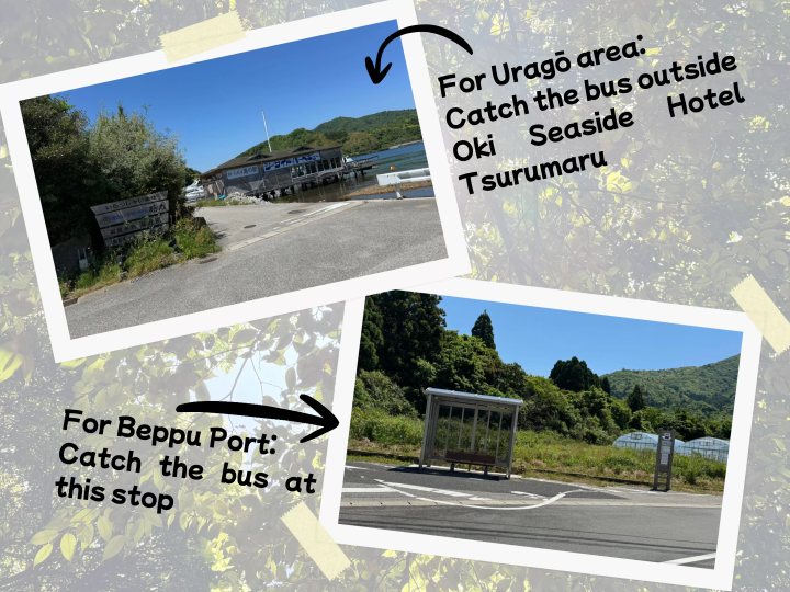 Hiking Guide: Takuhi Shrine, Nishinoshima – Getting There by Bus