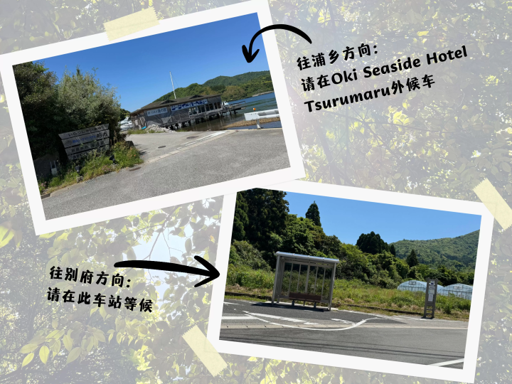 【登山健行攻略】岛根县西之岛的烧火神社—搭公车也能轻松登山