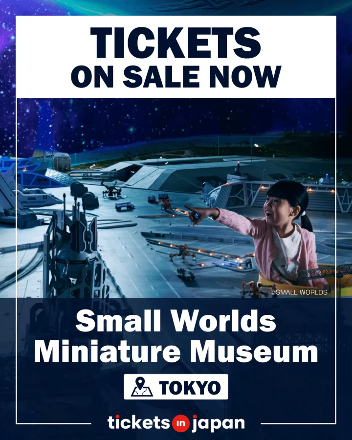 [TICKET INTRODUCTION] Small Worlds Miniature Museum