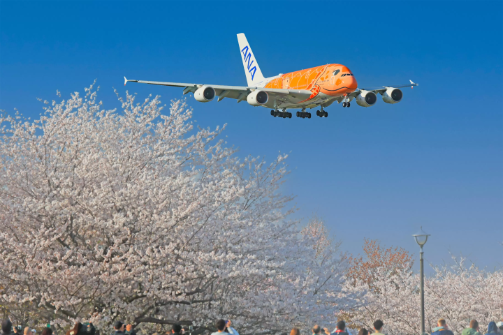 成田　飛行機　桜