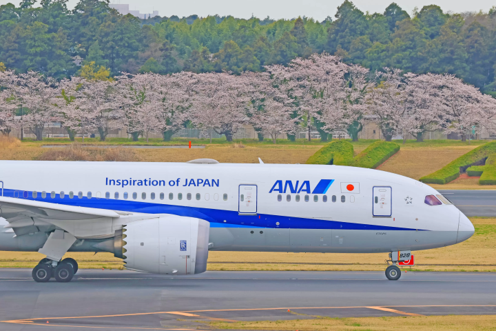 成田　飛行機　桜
