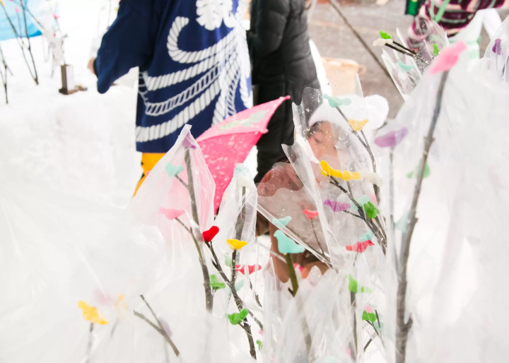 【雪中花水祝】を見に行こう!冬の魚沼市楽しむ観光&グルメのモデルコースもご紹介!