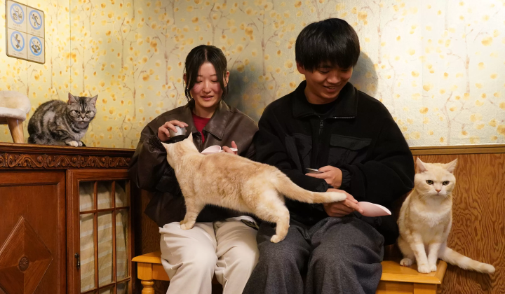 How to enjoy Fuji Safari Park in winter! Recommended courses for families with children!!