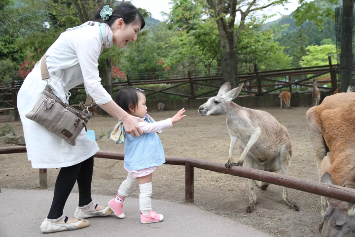 How to enjoy Fuji Safari Park in winter! Recommended courses for families with children!!