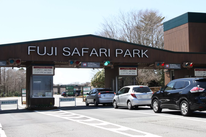 How to enjoy Fuji Safari Park in winter! Recommended courses for families with children!!