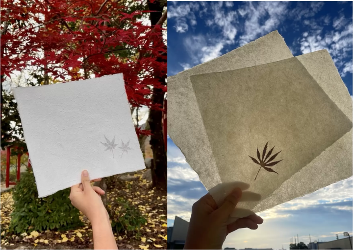 體驗三重縣松阪松阪市飯飯南町體驗野的造紙歷史與文化