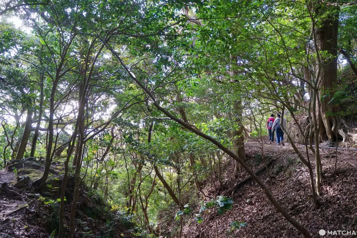 An'yado Hall on Kozushima
