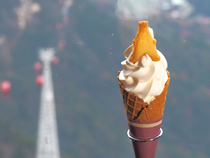[Gozaisho Ropeway] Gourmet Guide