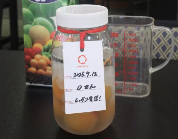Umeshu Making & Brewery Tour in Wakayama|Just 30 Minutes from Kansai Airport