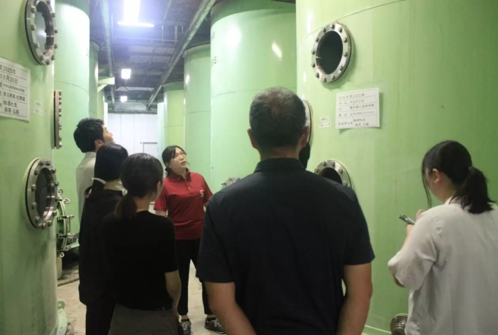 Umeshu Making & Brewery Tour in Wakayama|Just 30 Minutes from Kansai Airport