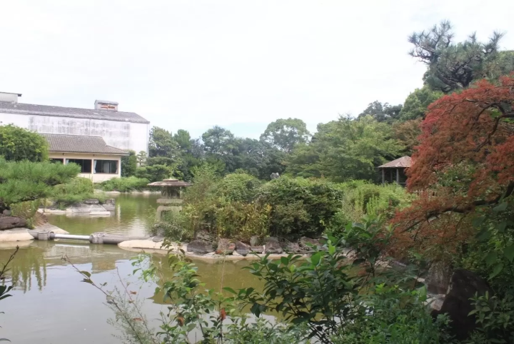 Umeshu Making & Brewery Tour in Wakayama|Just 30 Minutes from Kansai Airport