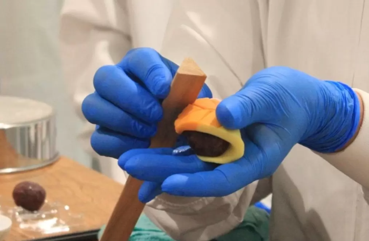 【工場見学】伝統の技と甘味文化にふれる、130年続く老舗和洋菓子店で和菓子づくり