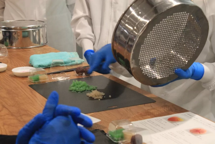 【工場見学】伝統の技と甘味文化にふれる、130年続く老舗和洋菓子店で和菓子づくり