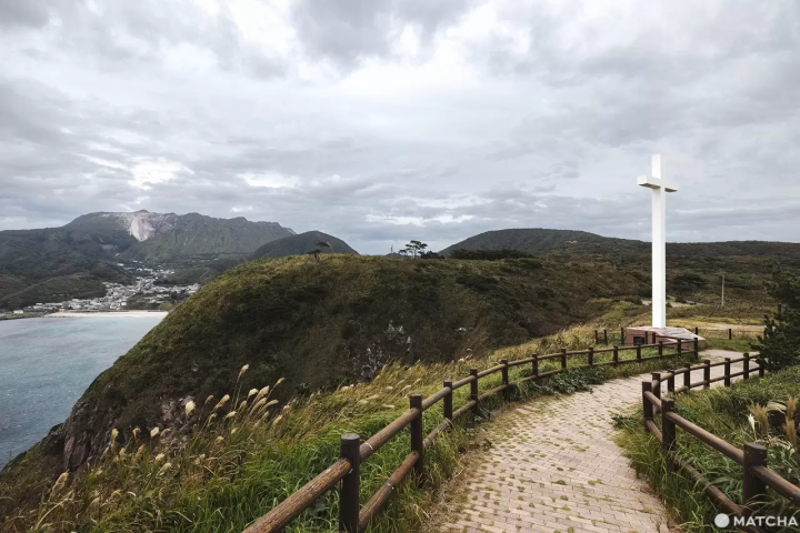 Kozushima Julia Cross