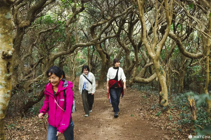 Kozushima Mount Chichibu hike