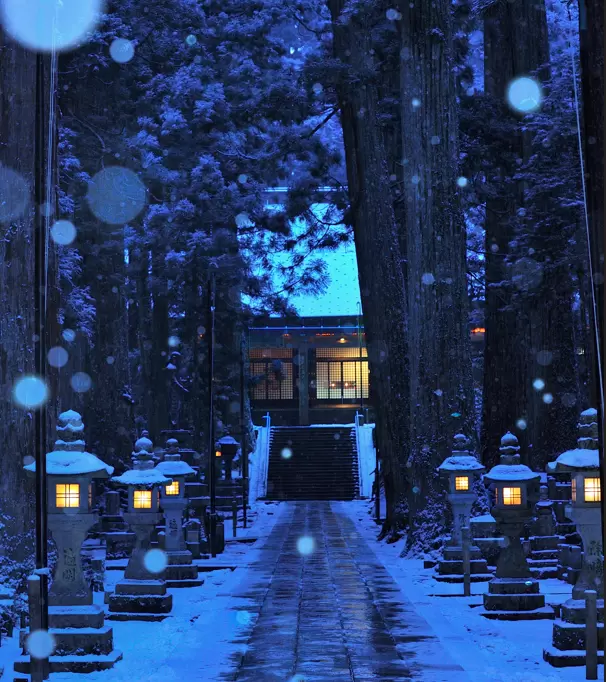 冬の高野山～まるで別次元の銀世界～