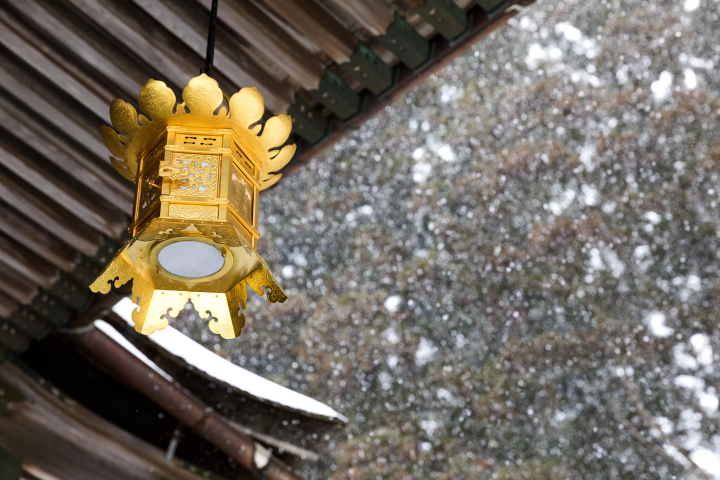 冬の高野山～まるで別次元の銀世界～