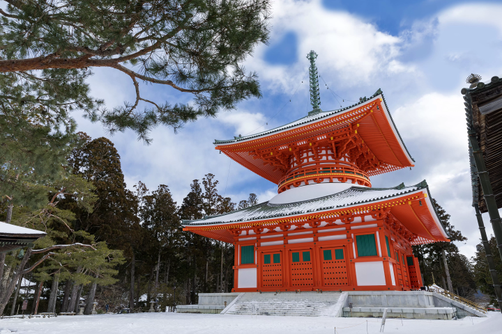 ภูเขาโคยะในฤดูหนาว: โลกแห่งหิมะราวกับอีกมิติหนึ่ง