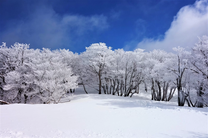 Mie - Beautiful Japanese Snow Scenery | Enjoy the Snow Scenery on the Gozaisho Ropeway