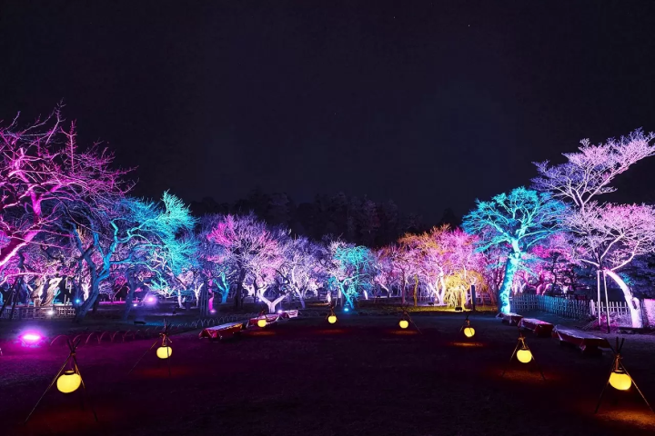 Mito Plum Blossom Festival 2026 at Kairakuen Garden and Kodokan