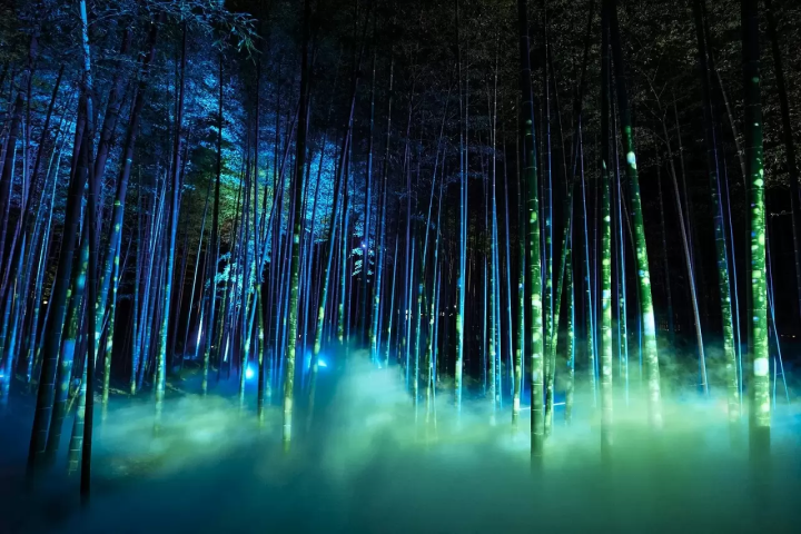 Mito Plum Blossom Festival 2026 at Kairakuen Garden and Kodokan