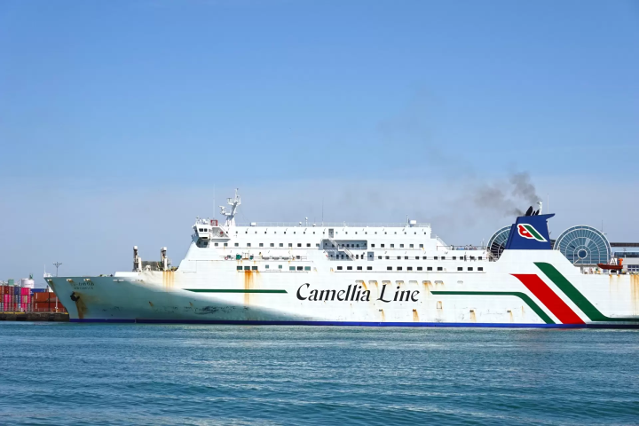 カメリアライン