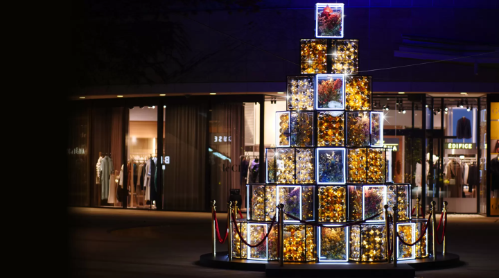 [2025 Update] Namba's spectacular illuminations! "Namba Hikari Tabi" with approximately 1 million shining lights