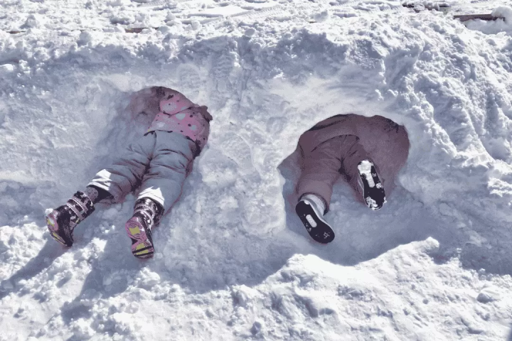 [도쿄 출발] 생애 첫 설경 체험을 위한 2일간의 스노우 투어!