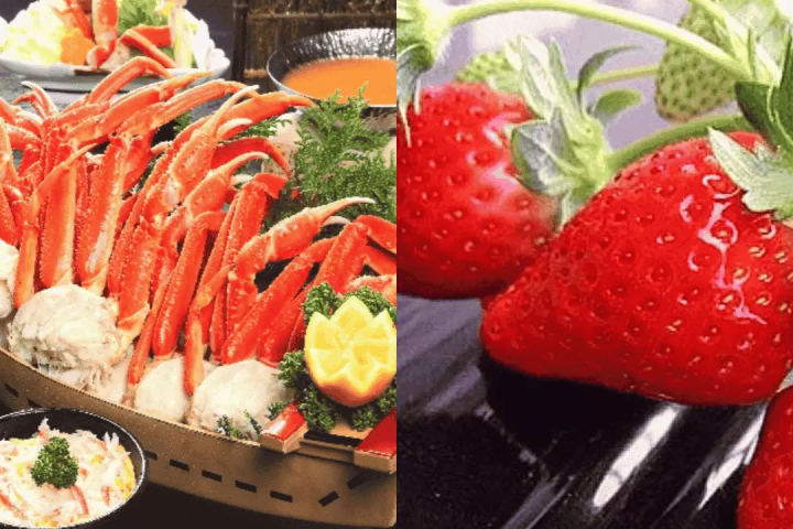 【東京出發】2日雪上之旅，帶你體驗人生第一次雪上樂趣！