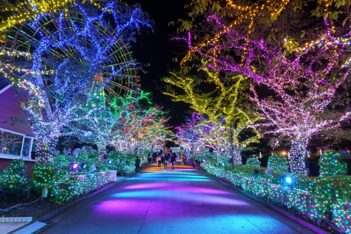 주얼 일루미네이션 행사가 2026년 4월 5일까지 요미우리랜드에서 개최됩니다!