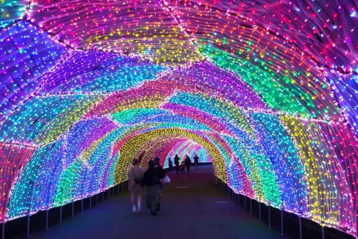 주얼 일루미네이션 행사가 2026년 4월 5일까지 요미우리랜드에서 개최됩니다!