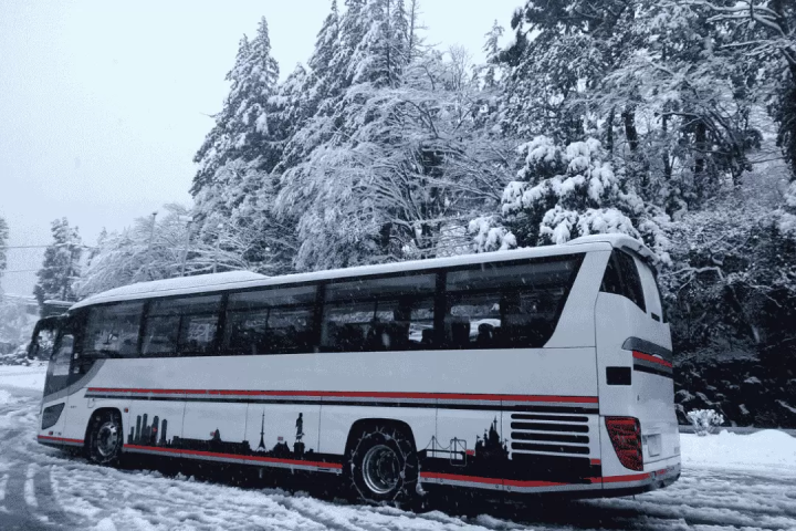 東京滑雪和單板滑雪一日遊專題報導 | 3 條外語導遊陪同的旅遊線路