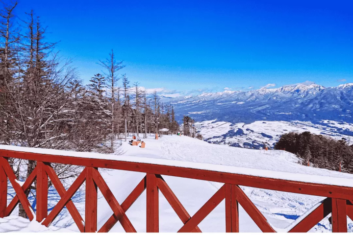 東京近郊のスキー場おすすめ5選！外国語対応の日帰りバスツアーも紹介