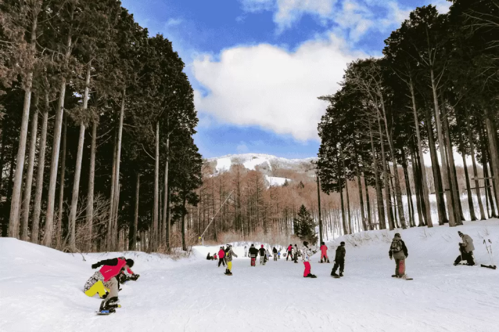 東京近郊のスキー場おすすめ5選！外国語対応の日帰りバスツアーも紹介