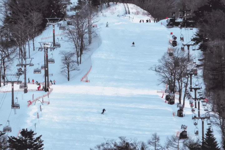 東京近郊のスキー場おすすめ5選！外国語対応の日帰りバスツアーも紹介