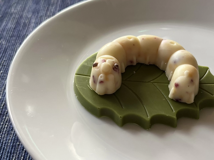 群馬縣縣富岡富岡市小富家推薦購買的6種當地特色伴手禮