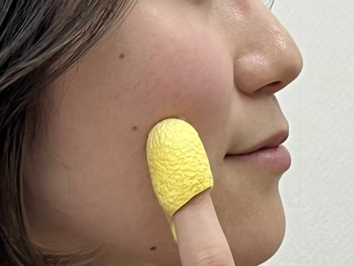 群馬縣縣富岡富岡市小富家推薦購買的6種當地特色伴手禮